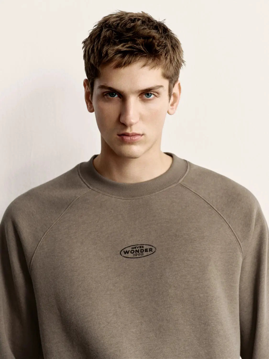 Sweatshirt in taupe with a small Never Wonder logo on the chest.