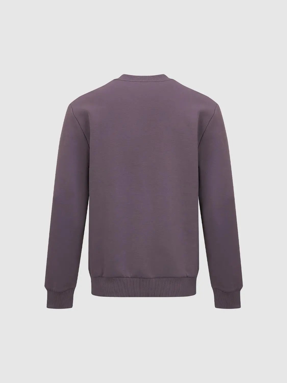 Sweatshirt in mauve purple, back view with ribbed cuffs and hem