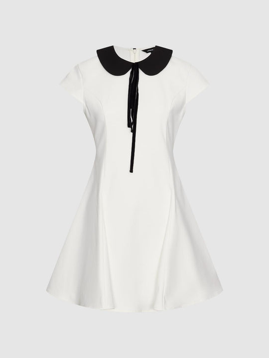 Contrast Collared Seamed Nipped Waist A-Line Midi Dresses